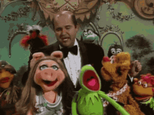Muppets Muppet Show GIF - Muppets Muppet Show Dom Deluise GIFs