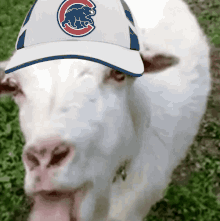 Chicago Cubs Billy Goat GIF - Chicago Cubs Billy Goat Go Cubs Go GIFs