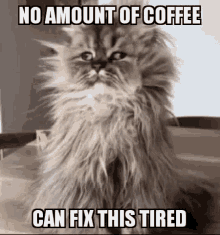Tired Monday GIF - Tired Monday Coffee GIFs