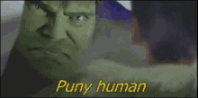 Puny Human GIF - Puny Human Hulk GIFs