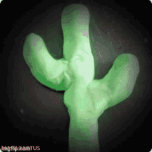 Mara Cactus Love GIF - Mara Cactus Cactus Love GIFs