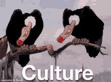 Culture Vultute Vulture GIF - Culture Vultute Culture Vulture GIFs