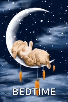 Bed Time Bunny GIF - Bed Time Bunny Moon GIFs