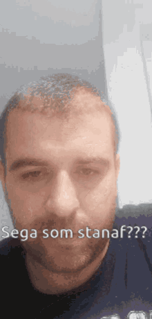 like stanaf