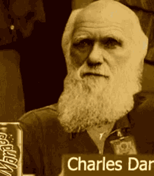 darwin charles