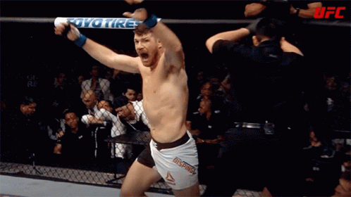 Victory Michael Bisping GIF - Victory Michael Bisping Ufc Brasil GIFs