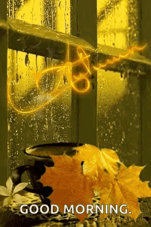 Autumn Fall Season GIF - Autumn Fall Season Leaves Changing GIFs