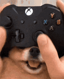 Game Dog Game Controller GIF - Game Dog Game Controller Doggy Nose GIFs