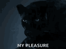 Panther Hungry GIF - Panther Hungry Cat GIFs