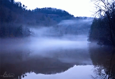 Foggy Nature GIF - Foggy Fog Nature - Descubre & Comparte GIFs.