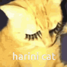Harini GIF - Harini GIFs