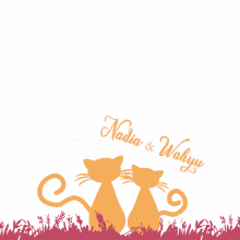 Nadia And Wahyu Todays Wish Happily Ever After GIF - Nadia And Wahyu Todays Wish Happily Ever After Cats GIFs