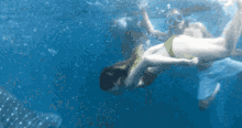 Swimming Whale Shark GIF - Swimming Whale Shark Mermaid GIFs
