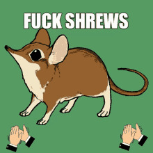 Shrew Cad GIF - Shrew Cad Shrew Crew GIFs