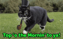 Top Of The Morning To You GIF - Top Of The Morning Cat Top Hat GIFs