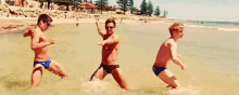 gay daley tomdaley tom gayboy gay daley tomdaley tom gayboy