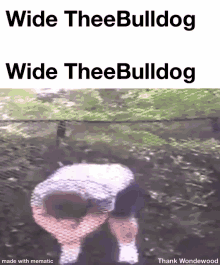 Wide Theebulldog Backflip GIF - Wide Theebulldog Theebulldog Backflip GIFs