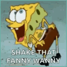 Booty Shake GIF - Booty Shake Dance GIFs