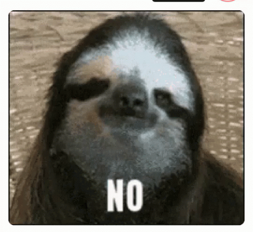 no-sloth.gif
