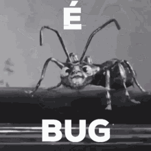 Outdare Bug Bug GIF - Outdare Bug Bug Outdare GIFs