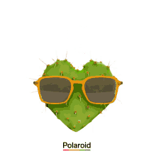 polaroid polaroid eyewear eyewear sustainable collection sustainable