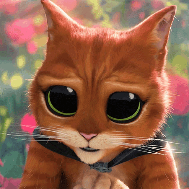 Face Puss GIF - Cute Face Puss Puss In Boots The Last Wish - Discover & Share