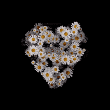 Daisy Heart GIF - Daisy Heart Flower GIFs