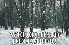 December GIF - December Snow Christmas GIFs