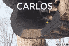 Carlos Upvote GIF - Carlos Upvote Wholesome GIFs