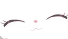 Kawaii Face GIF - Kawaii Face Kitty GIFs
