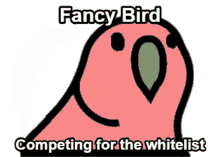 fancy bird