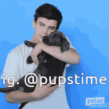 dog puppy puppies canine hug