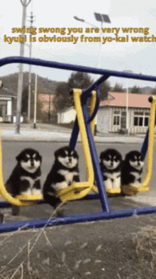 Puppies Swing GIF - Puppies Swing Swing Swong You Are Wrong GIFs