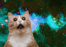 Cat Galaxycat GIF - Cat Galaxycat GIFs
