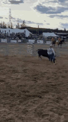 Rodeo Bull GIF - Rodeo Bull Bullfight GIFs