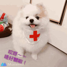 Happy National Nurses Day Cute GIF - Happy National Nurses Day Cute Dog GIFs
