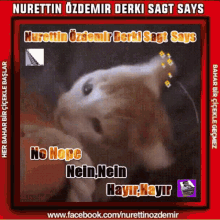 No Nope Hayır GIF - No Nope Hayır Nein GIFs