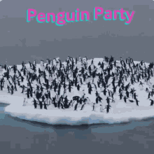 penguins penguin party running penguin take off penguin takeover