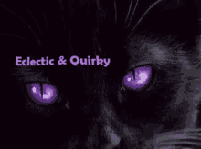 Sam Butters Purple Cat GIF - Sam Butters Purple Cat Witches Cat GIFs