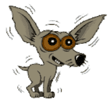 shivering dog cute puppy shivering dog cute puppy
