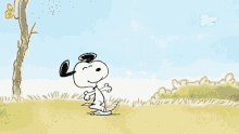Snoopy Dance GIF - Snoopy Dance Cartoon GIFs