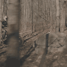 Driving Over A Big Stone With My Motorbike Ryan Sipes GIF - Driving Over A Big Stone With My Motorbike Ryan Sipes Red Bull GIFs