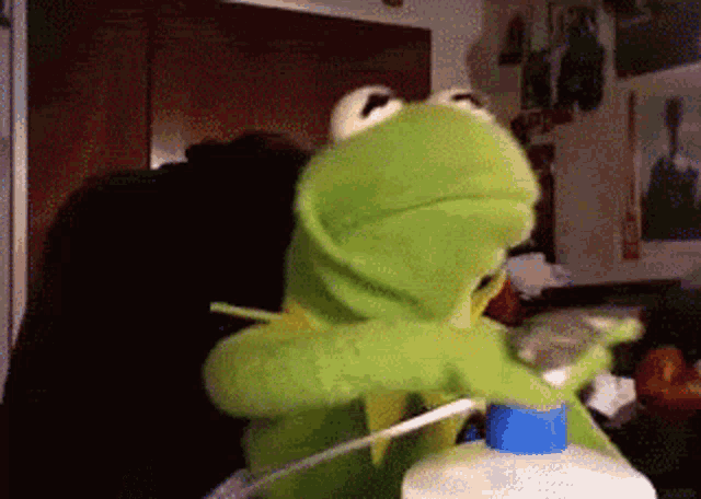 Kermit The Frog Lotion GIF - Kermit The Frog Lotion Muppet - Discover &amp;  Share GIFs