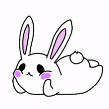 lie rabbit