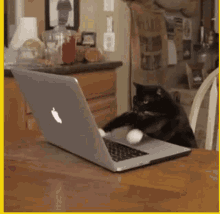 gif tenor for mac gif tenor for mac