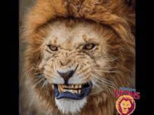 Brisbane Lions Roar GIF - Brisbane Lions Roar King Of Lions GIFs