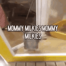 Milkers Cat GIF - Milkers Cat GIFs