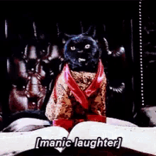 Cat Manic Laughter GIF - Cat Manic Laughter Salem GIFs
