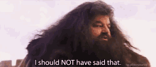 Mistake GIF - Harry Potter Hagrid I Should Have Not Said That GIFs
