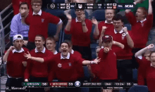 yeah badgers